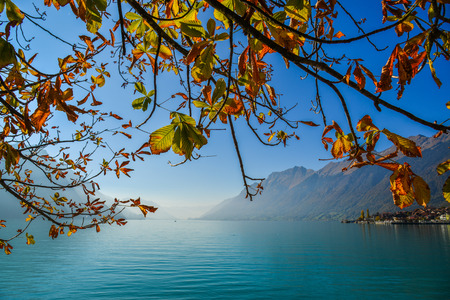 Swiss lake at sunset in Brienz, Switzerland. The turquoise Lake Brienz is set amid the spectacular...