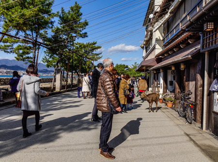 Hiroshima, Japan - Dec 28, 2015. People walking at Old Town near the Itsukushima Shrine on Miyajima Island in Hiroshima, Japan.のeditorial素材