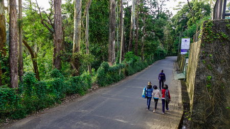 Nuwara Eliya, Sri Lanka - Dec 16, 2018. Rural road in Nuwara Eliya, Sri Lanka. Nuwara Eliya is the heart of the Central Highlands.のeditorial素材