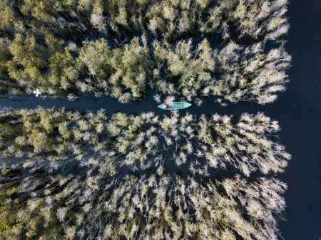 Aerial view of wooden boat at Melaleuca tree forest in Mekong Delta, Southern Vietnam. Taken by drone (flycam).の写真素材