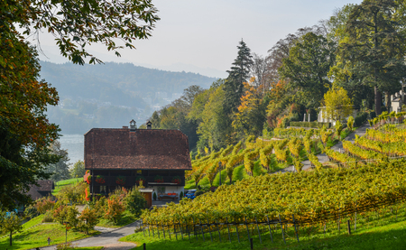 Meggenhorn Castle with vineyard in Lucerne, Switzerland. The castle is a Swiss heritage site of national significance.のeditorial素材