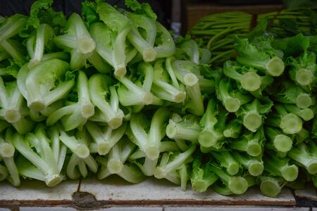 Fresh lettuce vegetable at rural market in Saigon, Vietnam.