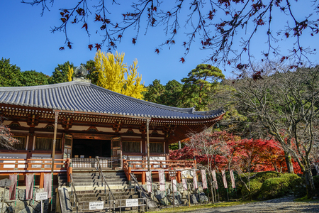 Kyoto, Japan - Nov 18, 2016. Shinto Shrine with autumn trees in Kyoto, Japan. Kyoto served as Japan capital and the emperor residence from 794 until 1868.のeditorial素材