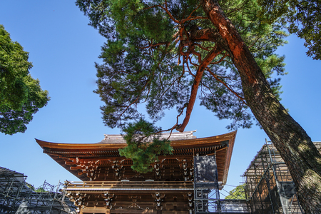 Ancient temple with pine tree garden in Kyoto, Japan.のeditorial素材
