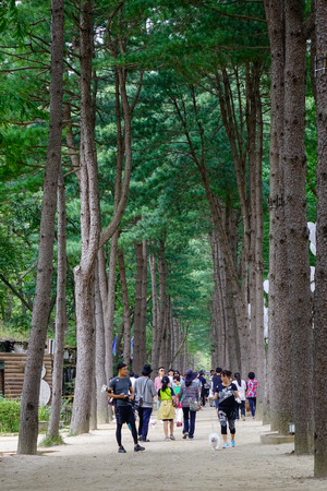 Nami, South Korea - Feb 6, 2015. People walking at the tree park on Nami Island. Namiseom is one of the most attractive tourist destinations in S. Korea.のeditorial素材