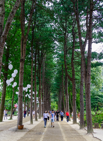 Nami, South Korea - Feb 6, 2015. People walking at the tree park on Nami Island. Namiseom is one of the most attractive tourist destinations in S. Korea.のeditorial素材