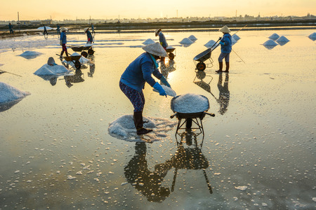 People working on salt field at summer in Nha Trang, Vietnam. Salt fields is one of the most unique destinations in Nha Trang.のeditorial素材