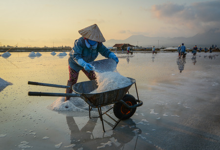 People working on salt field at summer in Nha Trang, Vietnam. Salt fields is one of the most unique destinations in Nha Trang.のeditorial素材