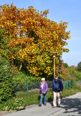Luzern, Switzerland - Oct 4, 2018. A senior couple walking on rural road with many trees at autumn in Luzern, Switzerland.のeditorial素材