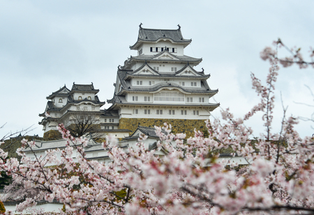 Ancient Himeji Castle (Japan) with cherry blossom at spring time.のeditorial素材