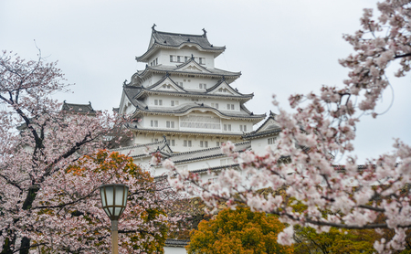 Ancient Himeji Castle (Japan) with cherry blossom at spring time.のeditorial素材