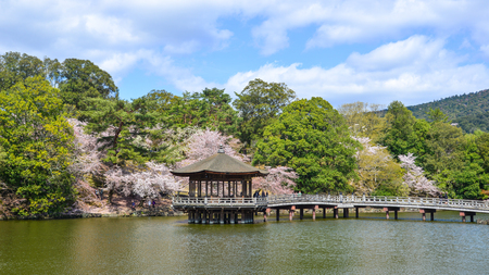 Nara, Japan - Apr 11, 2019. Sagi-ike Pond with the Ukimido Gazebo during cherry blossom in Nara Park (Japan).のeditorial素材