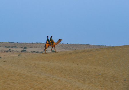 Jaisalmer, India - Nov 8, 2017. Riding camel on Thar Desert in Jaisalmer, India. Thar Desert is a large arid region in the northwestern part of the Indian.のeditorial素材
