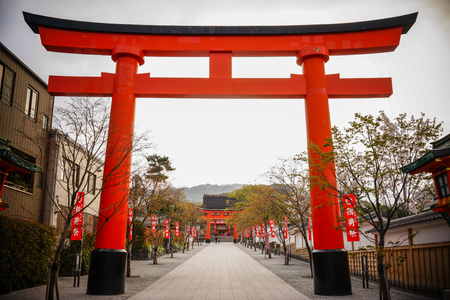Kyoto, Japan - Apr 5, 2014. Large Torii gate with cherry tree blossom at spring time in Kyoto, Japan.のeditorial素材