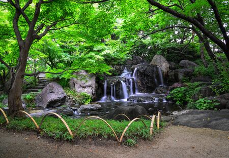 Small stream at botanic garden in summer day.の写真素材