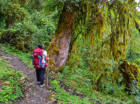 Pokhara, Nepal - Oct 20, 2017. A young woman walking on the trekking trail of Annapurna Circuit Trek. It is one of most popular treks in Nepal.のeditorial素材