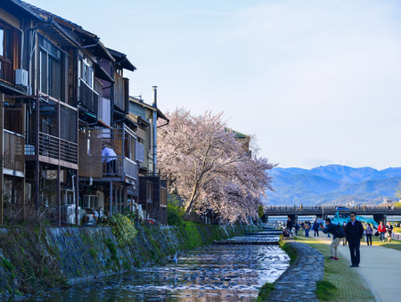 Kyoto, Japan - Apr 9, 2019. Activities along Kamo riverbank with cherry blossom trees in Kyoto, Japan.のeditorial素材