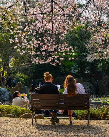 Tokyo, Japan - Apr 7, 2019. People enjoying cherry blossom (Hanami) in Tokyo, Japan. The cherry blossom tree in Japanese culture goes back hundreds of years.のeditorial素材