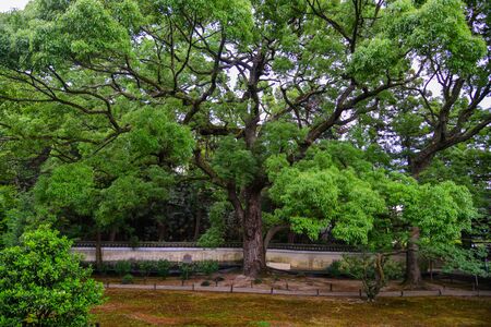 Idyllic landscape of Japanese garden at summer day.の写真素材