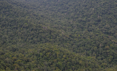 Mountainscape of Langkawi Island, Malaysia. Langkawi is an archipelago made up of 99 islands on Malaysia west coast.のeditorial素材