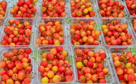 Showcase with fresh sweet cherries on the street market in Furano, Japan.