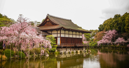 Kyoto, Japan - Apr 6, 2014. Ancient wooden with cherry blossom at Heian Jingu Shrine in Kyoto, Japan.のeditorial素材