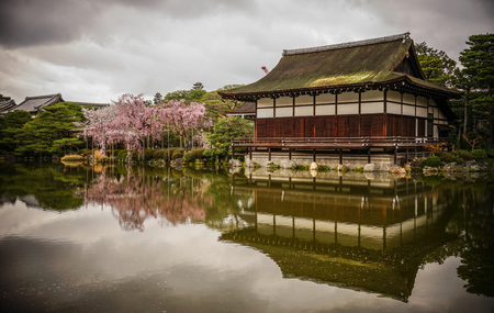 Kyoto, Japan - Apr 6, 2014. Ancient wooden with cherry blossom at Heian Jingu Shrine in Kyoto, Japan.のeditorial素材