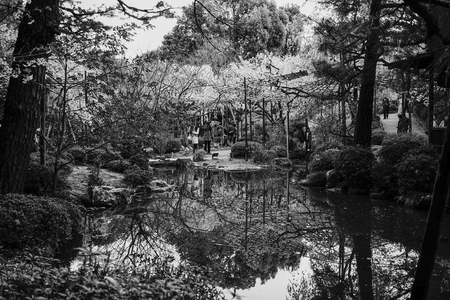 Kyoto, Japan - Apr 6, 2014. People enjoying cherry blossom at spring time in Kyoto, Japan.のeditorial素材