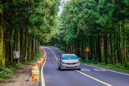 Jeju, South Korea - Sep 20, 2016. Car running on the asphalt road with pine tree forest on Jeju Island, South Korea.のeditorial素材