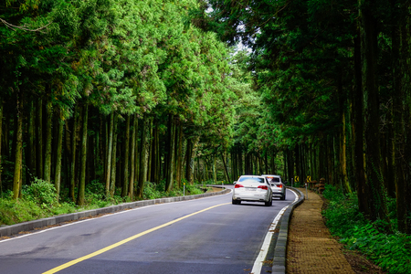 Jeju, South Korea - Sep 20, 2016. Car running on the asphalt road with pine tree forest on Jeju Island, South Korea.のeditorial素材