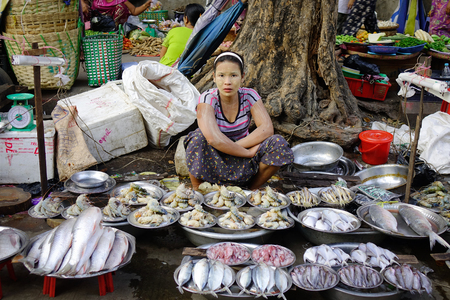 Yangon, Myanmar - Feb 13, 2017. A Burmese woman selling fresh fish at street market in Yangon, Myanmar. Yangon is the country largest city with a population above 7 million.のeditorial素材