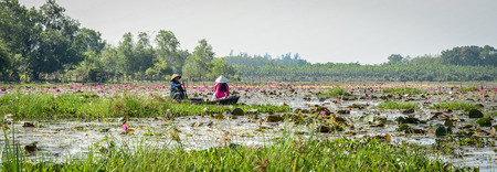 Binh Duong, Vietnam - Feb 4, 2016. Asian woman in traditional dress (Ao Dai) sitting on the wooden boat in waterlily pond.のeditorial素材
