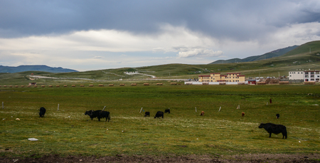 Mountain scenery of Garze Tibetan Autonomous Prefecture, Sichuan, China.のeditorial素材