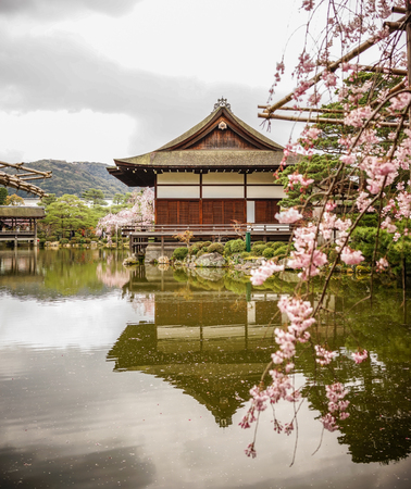 Kyoto, Japan - Apr 6, 2014. Ancient wooden with cherry blossom at Heian Jingu Shrine in Kyoto, Japan.のeditorial素材