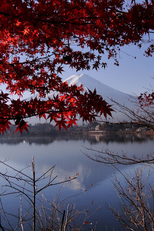 Mount Fuji (Japanese iconic) with maple trees in autumn.のeditorial素材