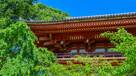 Ancient temple with green garden at summer in Kyoto, Japan.のeditorial素材