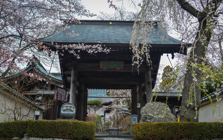 Kyoto, Japan - Apr 8, 2019. Ancient temple with cherry blossom in Kyoto, Japan. Cherry blossom festivals are one of the most colorful events of the year.のeditorial素材