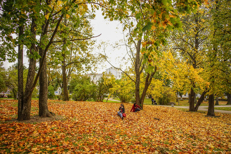 Saint Petersburg, Russia - Oct 4, 2016. People enjoying at autumn park in Saint Petersburg, Russia.のeditorial素材