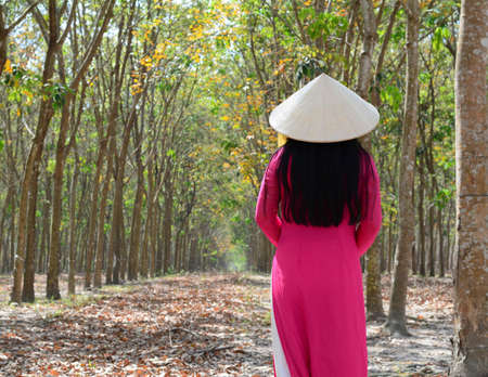 An Asian in traditional dress (Ao Dai) with a conical hat, walking on rural road in Southern Vietnam.の写真素材