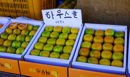 Jeju, South Korea - Sep 20, 2016. Fresh tangerine fruits at the market in Jeju Island, South Korea. Jeju Island is one of the top travel destinations in Asia.のeditorial素材