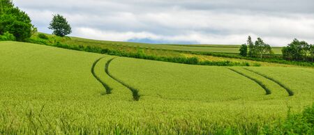 Beautiful rural scenery at summer day in Furano Township, Hokkaido, Japan.の写真素材