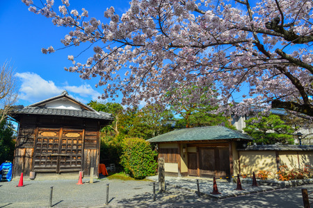 Kyoto, Japan - Apr 9, 2019. Cherry blossom in Philosopher Path (Tetsugaku no michi). Cherry blossom festivals are one of the most colorful events of the year in Japan.のeditorial素材
