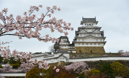 Ancient Himeji Castle (Japan) with cherry blossom at spring time.のeditorial素材