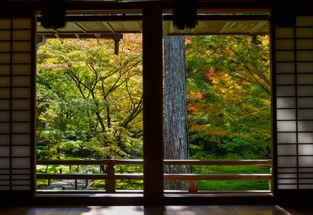 Traditional Japanese paper sliding doors and Tatami mat open to view of beautiful colorful autumn...