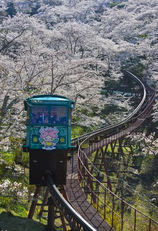 Fukushima, Japan - Apr 12, 2019. Cherry blossom with slope car track at Funaoka Castle Ruin Park in Fukushima, Japan.のeditorial素材