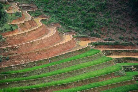 Terraced rice field in Mu Cang Chai, Northwest Vietnam. Terraced rice fields in Vietnam are among the most beautiful agricultural wonders in the world.の写真素材