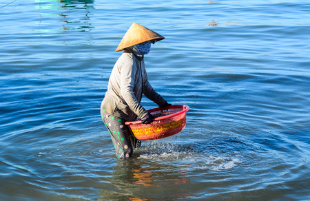Phan Thiet, Vietnam - Mar 19, 2016. Women with traditional hats working at fishing village in Phan Thiet, Vietnam.のeditorial素材