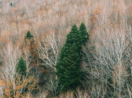 Autumn scenery of Aomori, Japan. Aomori, the northernmost prefecture of the main island, is an incredible place to hunt for momiji (red leaves).の写真素材