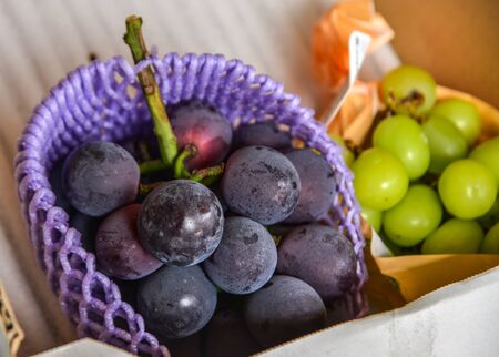 Close-up of Kyoho grapes (giant mountain grapes) at supermarket in Aomori, Japan.の写真素材