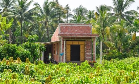 Small rural brick house with green garden in Mekong Delta, Vietnam.の写真素材